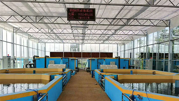 空氣能熱泵養殖系統